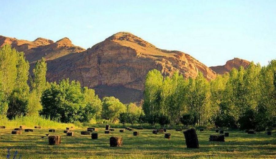 Iğdir Hurdacı